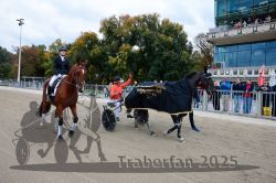 Dateiname=20251012_r08d_005_CR5_0372.jpg
Dateigröße=369KB
Abmessungen: 1000x667
hinzugefügt am: 14. Oktober 2025 20251012_r08d_005_CR5_0372.jpg