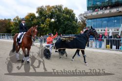 Dateiname=20251012_r08d_006_CR5_0373.jpg
Dateigröße=375KB
Abmessungen: 1000x667
hinzugefügt am: 14. Oktober 2025 20251012_r08d_006_CR5_0373.jpg