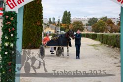 Dateiname=20251012_r08d_009_CR5_0378.jpg
Dateigröße=337KB
Abmessungen: 1000x667
hinzugefügt am: 14. Oktober 2025 20251012_r08d_009_CR5_0378.jpg