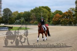 Dateiname=20251012_r08d_053_CR5_0484.jpg
Dateigröße=302KB
Abmessungen: 1000x667
hinzugefügt am: 14. Oktober 2025 20251012_r08d_053_CR5_0484.jpg