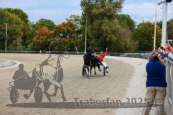 Dateiname=20251012_r08d_057_CR5_0490.jpg
Dateigröße=335KB
Abmessungen: 1000x667
hinzugefügt am: 14. Oktober 2025 20251012_r08d_057_CR5_0490.jpg