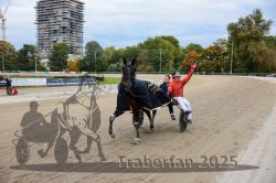 Dateiname=20251012_r08d_060_CR5_0496.jpg
Dateigröße=320KB
Abmessungen: 1000x667
hinzugefügt am: 14. Oktober 2025 20251012_r08d_060_CR5_0496.jpg