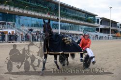 Dateiname=20251012_r08d_066_CR5_0507.jpg
Dateigröße=339KB
Abmessungen: 1000x667
hinzugefügt am: 14. Oktober 2025 20251012_r08d_066_CR5_0507.jpg