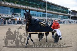 Dateiname=20251012_r08d_067_CR5_0508.jpg
Dateigröße=339KB
Abmessungen: 1000x667
hinzugefügt am: 14. Oktober 2025 20251012_r08d_067_CR5_0508.jpg