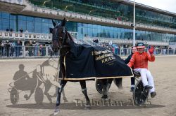 Dateiname=20251012_r08d_068_CR5_0509.jpg
Dateigröße=344KB
Abmessungen: 1000x667
hinzugefügt am: 14. Oktober 2025 20251012_r08d_068_CR5_0509.jpg