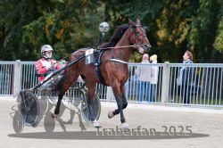 Dateiname=20251012_r09_001_R09_0006.jpg
Dateigröße=298KB
Abmessungen: 1000x667
hinzugefügt am: 15. Oktober 2025 20251012_r09_001_R09_0006.jpg