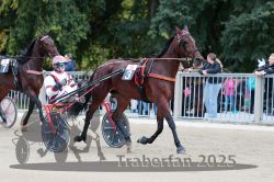 Dateiname=20251012_r09_005_R09_0025.jpg
Dateigröße=323KB
Abmessungen: 1000x667
hinzugefügt am: 15. Oktober 2025 20251012_r09_005_R09_0025.jpg