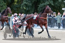 Dateiname=20251012_r09_006_R09_0030.jpg
Dateigröße=321KB
Abmessungen: 1000x667
hinzugefügt am: 15. Oktober 2025 20251012_r09_006_R09_0030.jpg