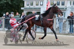 Dateiname=20251012_r09_008_R09_0040.jpg
Dateigröße=318KB
Abmessungen: 1000x667
hinzugefügt am: 15. Oktober 2025 20251012_r09_008_R09_0040.jpg