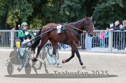 Dateiname=20251012_r09_010_R09_0047.jpg
Dateigröße=312KB
Abmessungen: 1000x667
hinzugefügt am: 15. Oktober 2025 20251012_r09_010_R09_0047.jpg