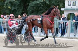 Dateiname=20251012_r09_012_R09_0058.jpg
Dateigröße=329KB
Abmessungen: 1000x667
hinzugefügt am: 15. Oktober 2025 20251012_r09_012_R09_0058.jpg