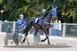 Dateiname=20251012_r09_015_R09_0071.jpg
Dateigröße=312KB
Abmessungen: 1000x667
hinzugefügt am: 15. Oktober 2025 20251012_r09_015_R09_0071.jpg