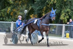 Dateiname=20251012_r09_016_R09_0076.jpg
Dateigröße=319KB
Abmessungen: 1000x667
hinzugefügt am: 15. Oktober 2025 20251012_r09_016_R09_0076.jpg