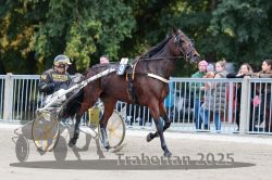 Dateiname=20251012_r09_017_R09_0080.jpg
Dateigröße=321KB
Abmessungen: 1000x667
hinzugefügt am: 15. Oktober 2025 20251012_r09_017_R09_0080.jpg