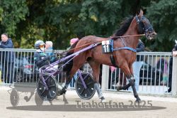 Dateiname=20251012_r09_022_R09_0104.jpg
Dateigröße=317KB
Abmessungen: 1000x667
hinzugefügt am: 15. Oktober 2025 20251012_r09_022_R09_0104.jpg