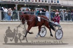 Dateiname=20251012_r09_030_R09_0132.jpg
Dateigröße=294KB
Abmessungen: 1000x667
hinzugefügt am: 15. Oktober 2025 20251012_r09_030_R09_0132.jpg