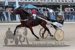 Dateiname=20251012_r09_036_R09_0147.jpg
Dateigröße=286KB
Abmessungen: 1000x667
hinzugefügt am: 15. Oktober 2025 20251012_r09_036_R09_0147.jpg