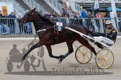 Dateiname=20251012_r09_038_R09_0151.jpg
Dateigröße=286KB
Abmessungen: 1000x667
hinzugefügt am: 15. Oktober 2025 20251012_r09_038_R09_0151.jpg