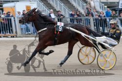 Dateiname=20251012_r09_039_R09_0152.jpg
Dateigröße=297KB
Abmessungen: 1000x667
hinzugefügt am: 15. Oktober 2025 20251012_r09_039_R09_0152.jpg