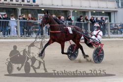 Dateiname=20251012_r09_042_R09_0161.jpg
Dateigröße=268KB
Abmessungen: 1000x667
hinzugefügt am: 15. Oktober 2025 20251012_r09_042_R09_0161.jpg