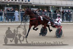 Dateiname=20251012_r09_043_R09_0162.jpg
Dateigröße=269KB
Abmessungen: 1000x667
hinzugefügt am: 15. Oktober 2025 20251012_r09_043_R09_0162.jpg