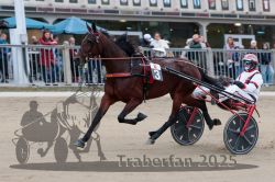 Dateiname=20251012_r09_046_R09_0169.jpg
Dateigröße=289KB
Abmessungen: 1000x667
hinzugefügt am: 15. Oktober 2025 20251012_r09_046_R09_0169.jpg