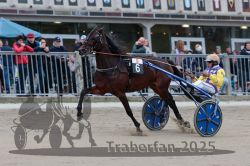 Dateiname=20251012_r09_060_R09_0198.jpg
Dateigröße=280KB
Abmessungen: 1000x667
hinzugefügt am: 15. Oktober 2025 20251012_r09_060_R09_0198.jpg