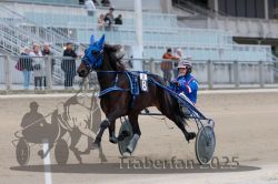 Dateiname=20251012_r09_071_R09_0224.jpg
Dateigröße=250KB
Abmessungen: 1000x667
hinzugefügt am: 15. Oktober 2025 20251012_r09_071_R09_0224.jpg