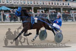 Dateiname=20251012_r09_080_R09_0240.jpg
Dateigröße=290KB
Abmessungen: 1000x667
hinzugefügt am: 15. Oktober 2025 20251012_r09_080_R09_0240.jpg