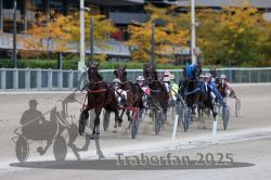 Dateiname=20251012_r09_083_R09_0248.jpg
Dateigröße=281KB
Abmessungen: 1000x667
hinzugefügt am: 15. Oktober 2025 20251012_r09_083_R09_0248.jpg