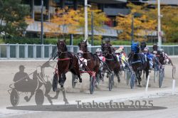 Dateiname=20251012_r09_085_R09_0254.jpg
Dateigröße=287KB
Abmessungen: 1000x667
hinzugefügt am: 15. Oktober 2025 20251012_r09_085_R09_0254.jpg