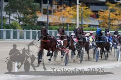 Dateiname=20251012_r09_086_R09_0258.jpg
Dateigröße=291KB
Abmessungen: 1000x667
hinzugefügt am: 15. Oktober 2025 20251012_r09_086_R09_0258.jpg