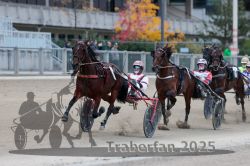 Dateiname=20251012_r09_089_R09_0268.jpg
Dateigröße=277KB
Abmessungen: 1000x667
hinzugefügt am: 15. Oktober 2025 20251012_r09_089_R09_0268.jpg