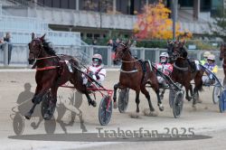 Dateiname=20251012_r09_090_R09_0272.jpg
Dateigröße=286KB
Abmessungen: 1000x667
hinzugefügt am: 15. Oktober 2025 20251012_r09_090_R09_0272.jpg