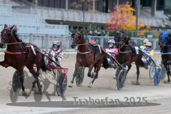 Dateiname=20251012_r09_091_R09_0274.jpg
Dateigröße=286KB
Abmessungen: 1000x667
hinzugefügt am: 15. Oktober 2025 20251012_r09_091_R09_0274.jpg