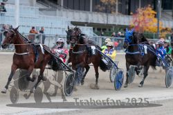 Dateiname=20251012_r09_092_R09_0281.jpg
Dateigröße=295KB
Abmessungen: 1000x667
hinzugefügt am: 15. Oktober 2025 20251012_r09_092_R09_0281.jpg