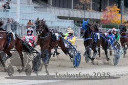 Dateiname=20251012_r09_093_R09_0283.jpg
Dateigröße=299KB
Abmessungen: 1000x667
hinzugefügt am: 15. Oktober 2025 20251012_r09_093_R09_0283.jpg