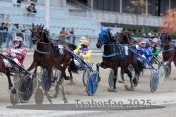 Dateiname=20251012_r09_094_R09_0286.jpg
Dateigröße=294KB
Abmessungen: 1000x667
hinzugefügt am: 15. Oktober 2025 20251012_r09_094_R09_0286.jpg