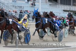 Dateiname=20251012_r09_095_R09_0291.jpg
Dateigröße=314KB
Abmessungen: 1000x667
hinzugefügt am: 15. Oktober 2025 20251012_r09_095_R09_0291.jpg