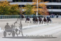 Dateiname=20251012_r09_098_R09_0303.jpg
Dateigröße=314KB
Abmessungen: 1000x667
hinzugefügt am: 15. Oktober 2025 20251012_r09_098_R09_0303.jpg