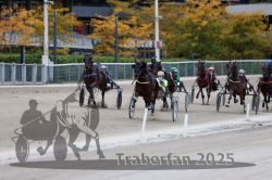 Dateiname=20251012_r09_102_R09_0316.jpg
Dateigröße=287KB
Abmessungen: 1000x667
hinzugefügt am: 15. Oktober 2025 20251012_r09_102_R09_0316.jpg