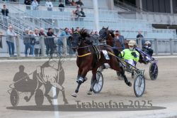 Dateiname=20251012_r09_119_R09_0359.jpg
Dateigröße=265KB
Abmessungen: 1000x667
hinzugefügt am: 15. Oktober 2025 20251012_r09_119_R09_0359.jpg