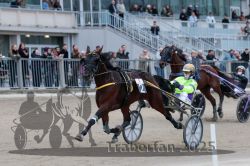 Dateiname=20251012_r09_121_R09_0365.jpg
Dateigröße=275KB
Abmessungen: 1000x667
hinzugefügt am: 15. Oktober 2025 20251012_r09_121_R09_0365.jpg