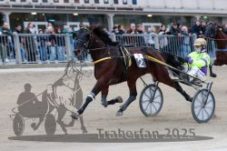 Dateiname=20251012_r09_124_R09_0372.jpg
Dateigröße=283KB
Abmessungen: 1000x667
hinzugefügt am: 15. Oktober 2025 20251012_r09_124_R09_0372.jpg