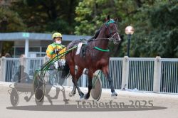 Dateiname=20251012_r10_001_R10_0006.jpg
Dateigröße=274KB
Abmessungen: 1000x667
hinzugefügt am: 15. Oktober 2025 20251012_r10_001_R10_0006.jpg