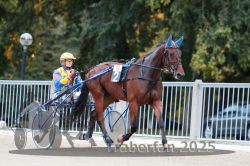 Dateiname=20251012_r10_003_R10_0017.jpg
Dateigröße=308KB
Abmessungen: 1000x667
hinzugefügt am: 15. Oktober 2025 20251012_r10_003_R10_0017.jpg