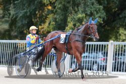 Dateiname=20251012_r10_004_R10_0022.jpg
Dateigröße=315KB
Abmessungen: 1000x667
hinzugefügt am: 15. Oktober 2025 20251012_r10_004_R10_0022.jpg