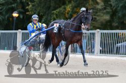 Dateiname=20251012_r10_009_R10_0057.jpg
Dateigröße=286KB
Abmessungen: 1000x667
hinzugefügt am: 15. Oktober 2025 20251012_r10_009_R10_0057.jpg