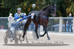 Dateiname=20251012_r10_010_R10_0062.jpg
Dateigröße=295KB
Abmessungen: 1000x667
hinzugefügt am: 15. Oktober 2025 20251012_r10_010_R10_0062.jpg