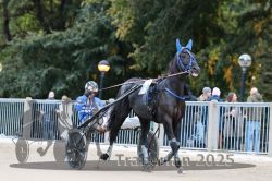 Dateiname=20251012_r10_011_R10_0068.jpg
Dateigröße=300KB
Abmessungen: 1000x667
hinzugefügt am: 15. Oktober 2025 20251012_r10_011_R10_0068.jpg